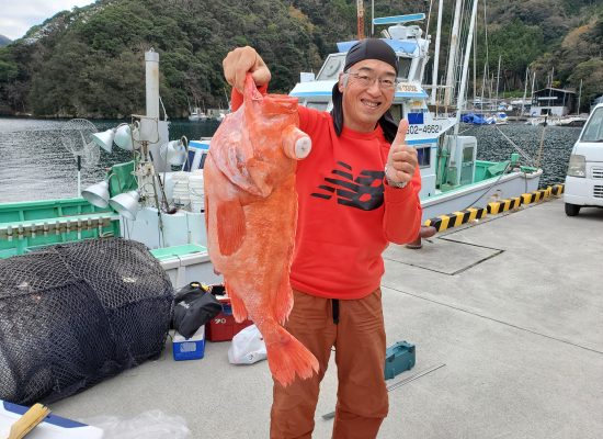 アコウダイ