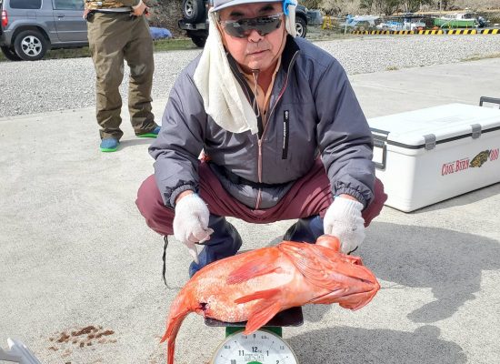アコウダイ