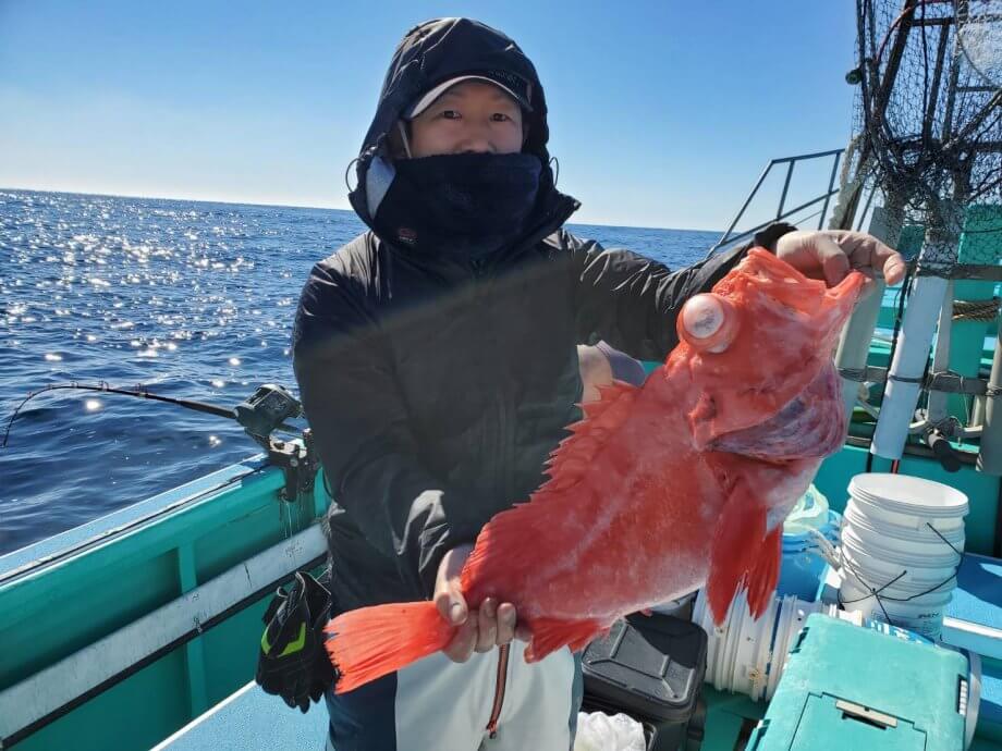 アコウダイ