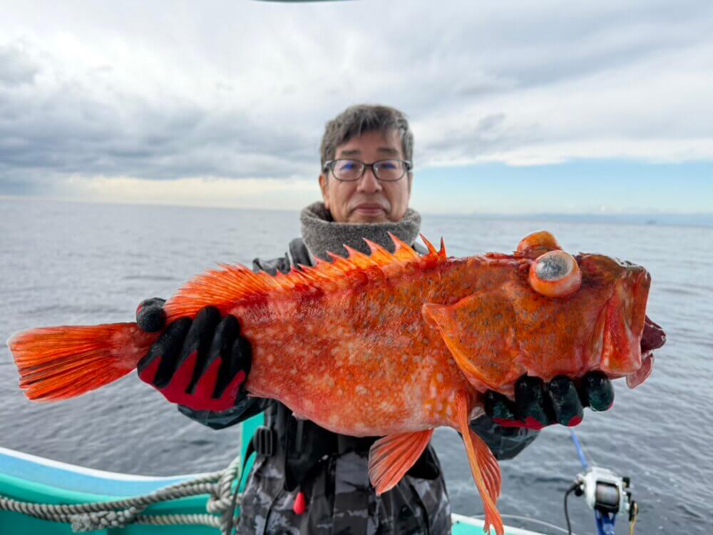 ウッカリカサゴ